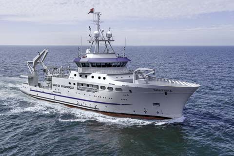 Executive Logistics Mozambique